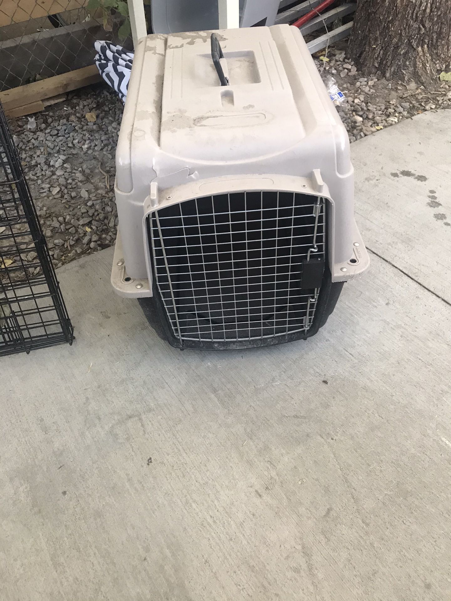 50$ OBO Kennel And Crate