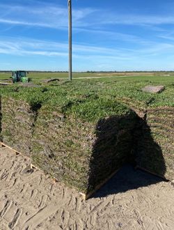 MUCKBASE | SOD