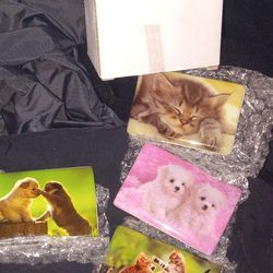 Lot Of 25 Brand New Super High Quality 4 Piece Dog/cat Super Strong Magnet Sets Deal