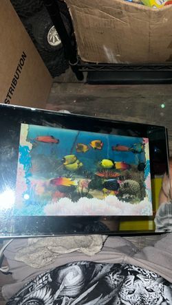 Fish moving frame