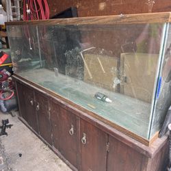 fishtank