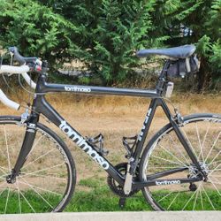 Tommaso Team Road Bicycle 