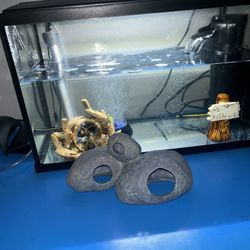 Fish Tank