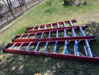 Werner ladders