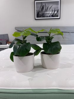 Fake plant decor