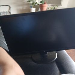 HP Monitor 