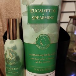 Bath Body Eucalyptus Spearmint 