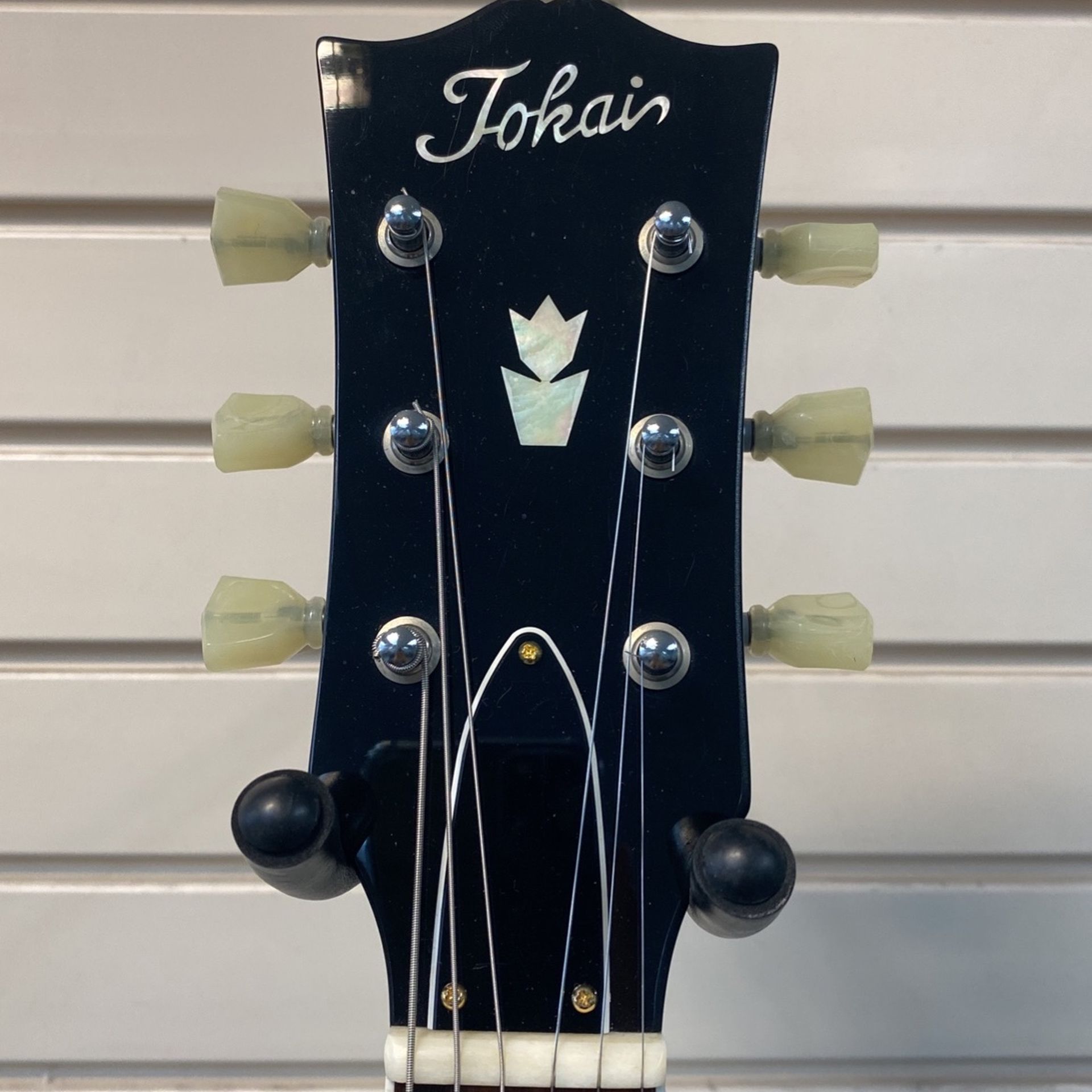 Tokai Guitar