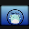 THE PLUSH