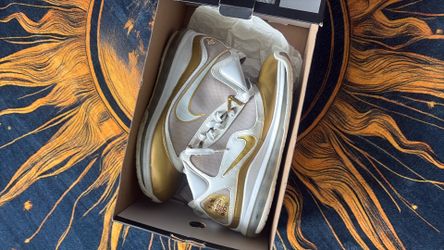 NIKE LEBRON VII (SIZE 11)
