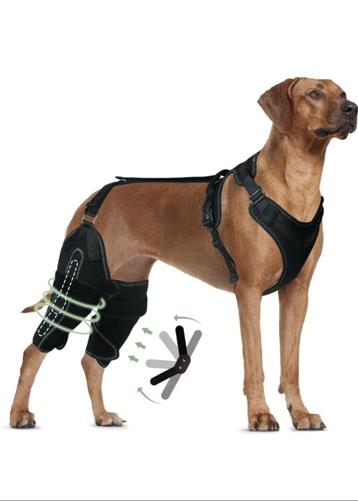 Dog Knee Brace XL