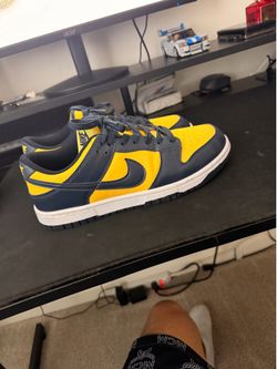 Nike Michigan dunks