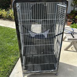 Bird Cage 