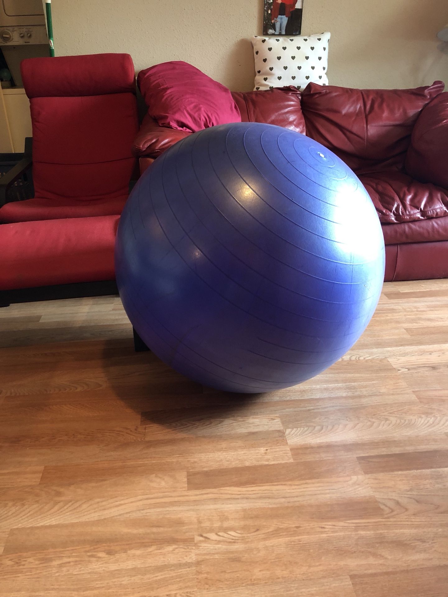 Large exercise ball