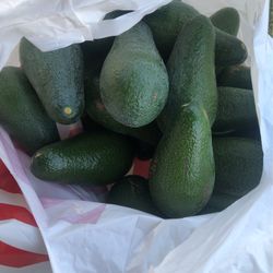 Avocados