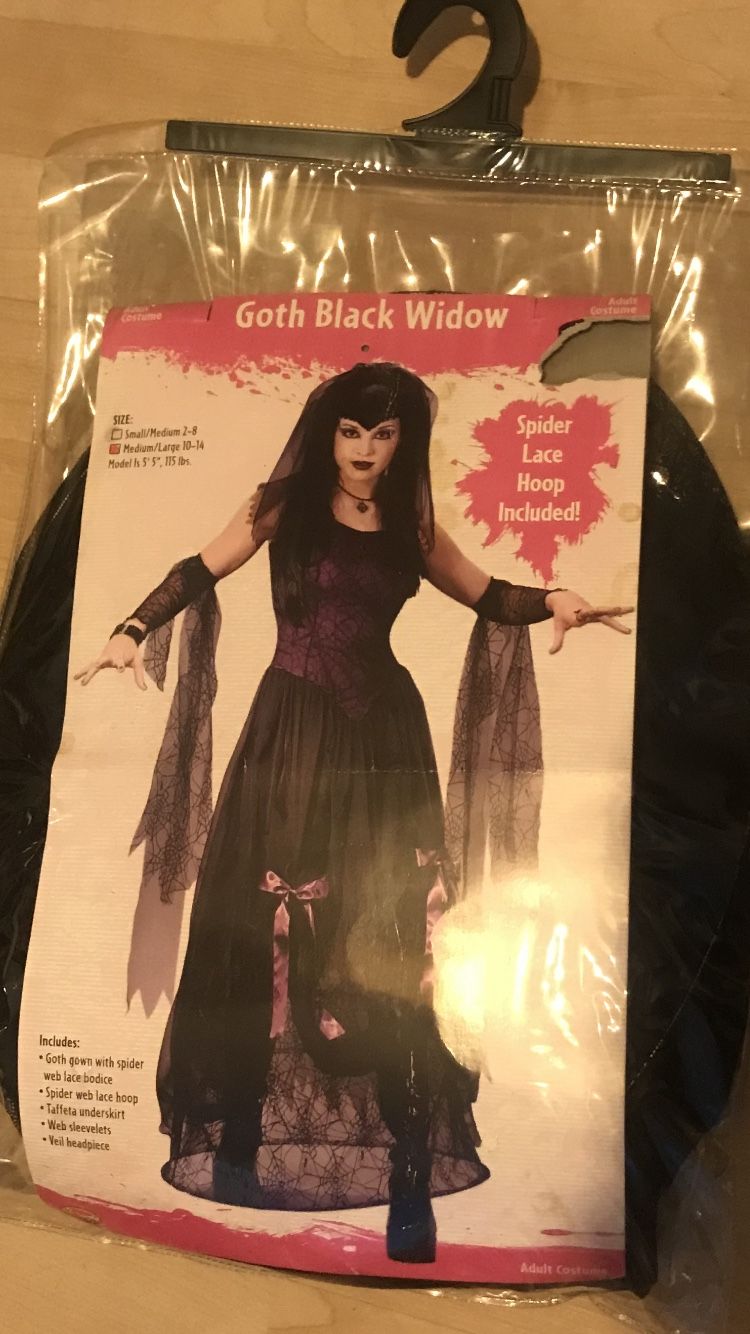 Goth Black Widow  Costume 