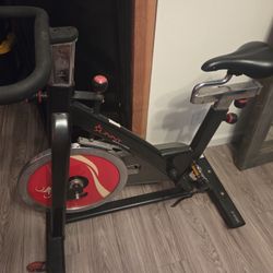 Sunny Fitness Bike