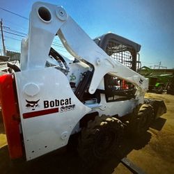 BOBCAT 