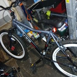 Mountain Bike 