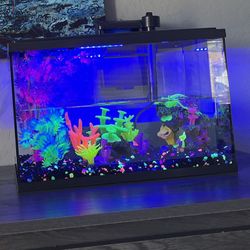 Fish Tank