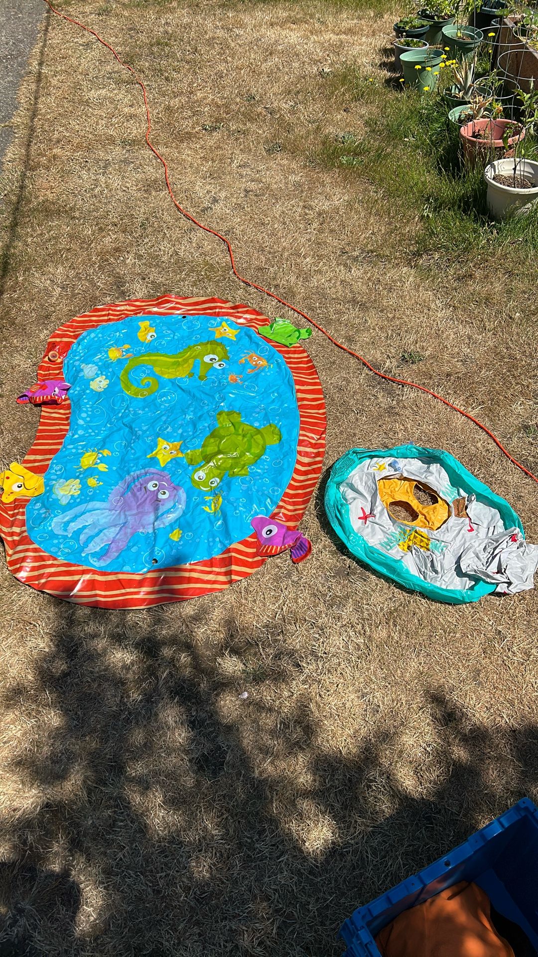 Kids Splash Matt And Unicorn Floaty 