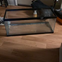 Hardly Used Fishtank 20 Gallon