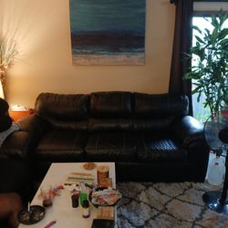 Hoover Shampoo    Black Couch