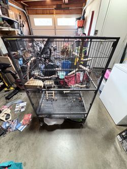 Bird cage with food trays and cover