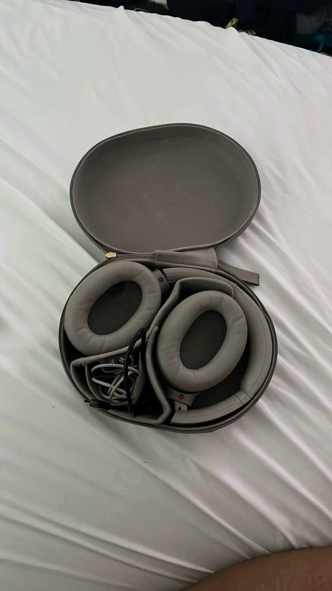 Sony Headphones