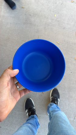 Food Bowls