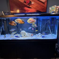 210 Gallon Aquarium For Sale Almost New