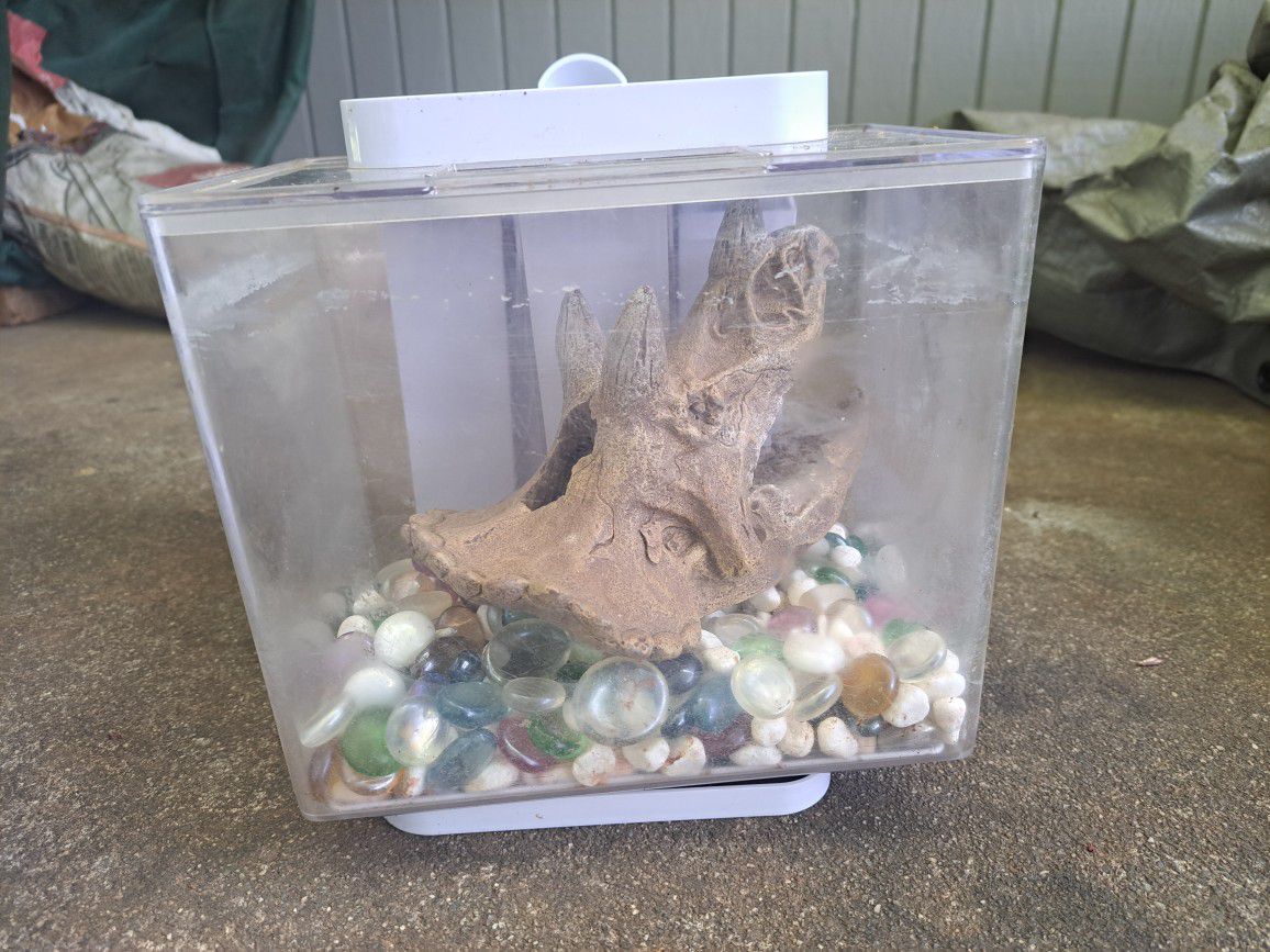Ez Care Fish Tank With Triceratops Head And Rocks