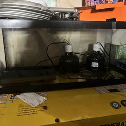 Turtle / Fish Tank 