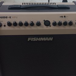 Fishman Loud Box Mini  Used!!