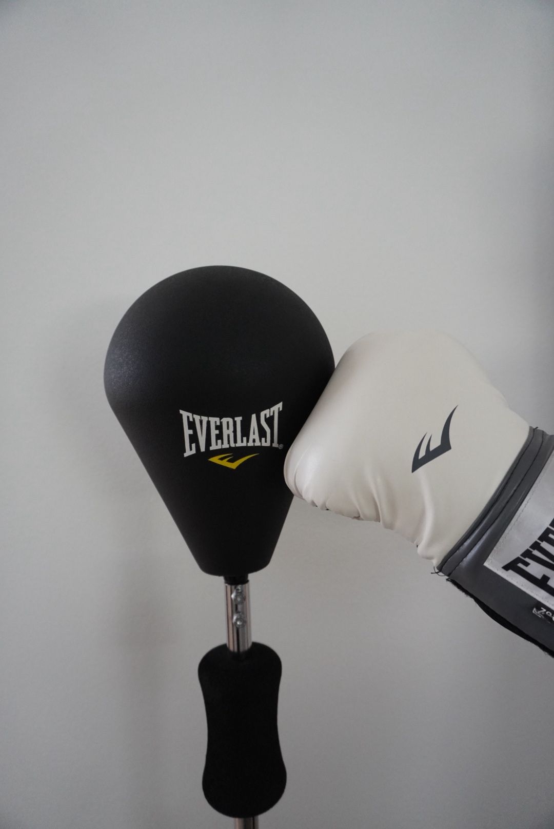 Punching Reflex Speed Bag