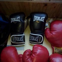 Everlast Boxing Gloves 