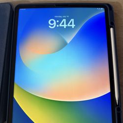 iPad Pro 12.9" 6th Gen 128gb WiFi + Cellular
