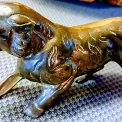 Small Iron 🦁 Lion