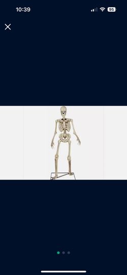 3 ft. LED Skeleton