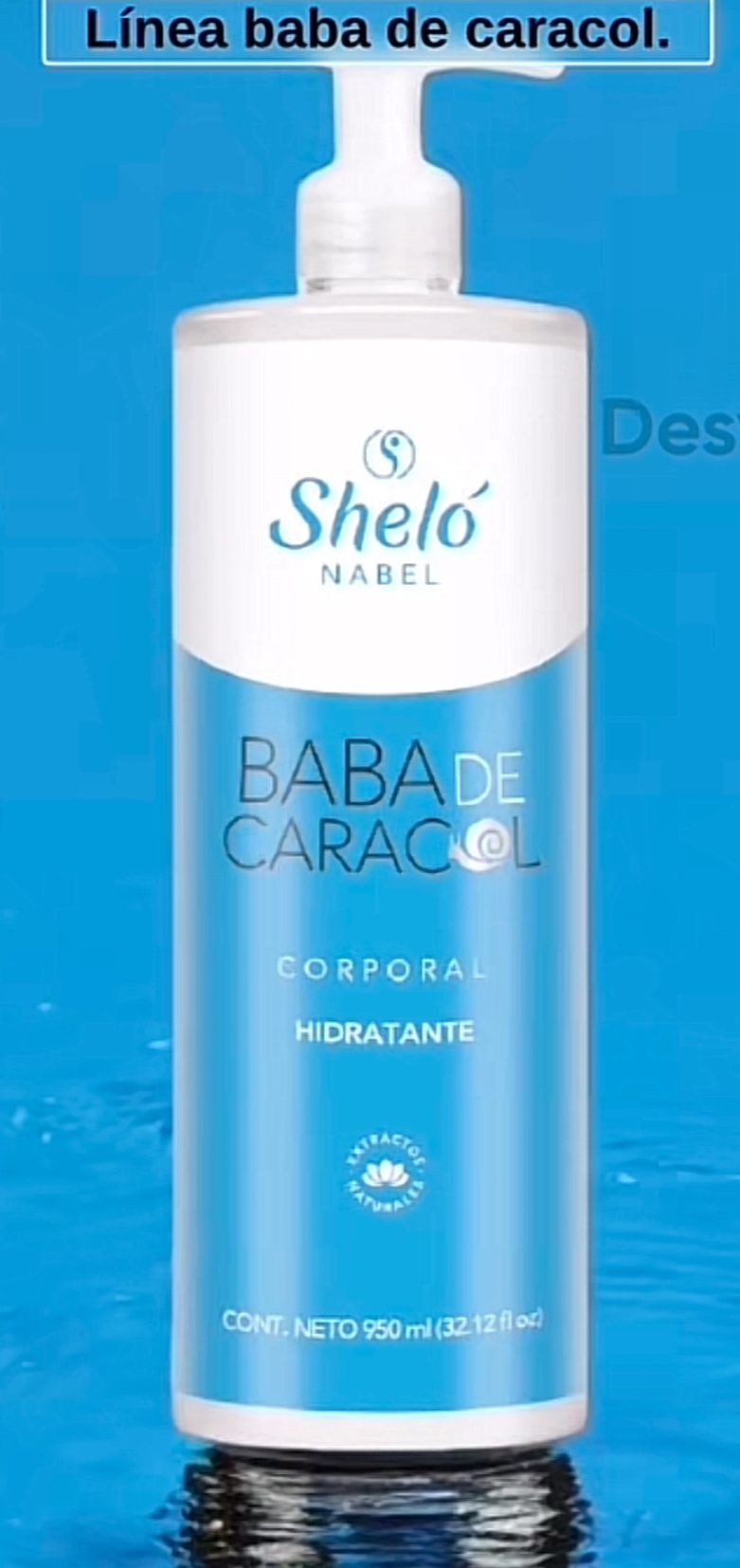 SHELO NABEL MEXICO