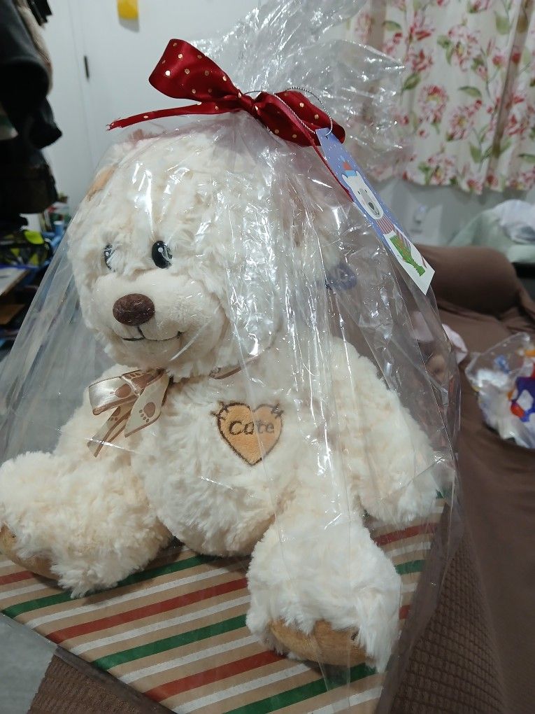 New Wrap 🎁 Gift Teddy 🧸 