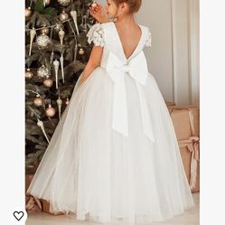 Flower Girls Lace Cap Sleeve Dress for Wedding Puffy Tulle Back V-Neck Pageant Prom Ball Gown with Bow