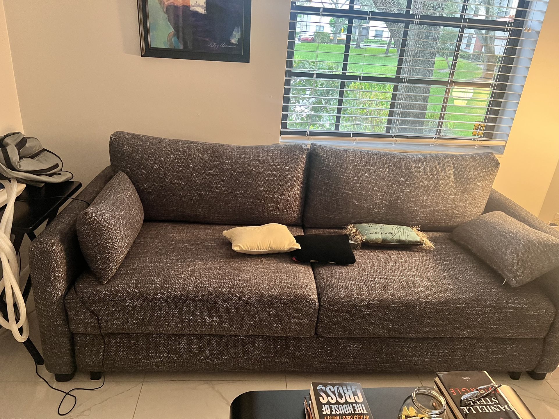 SLEEPER SOFA MINT CONDITIONS, Like New 