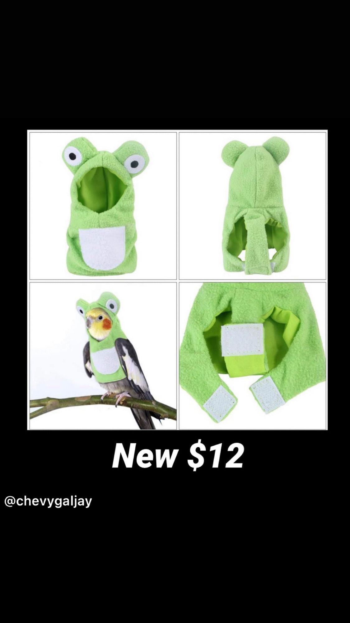 New Bird Jacket or Costume