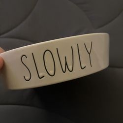 Ceramic Slow Feeder For Dogs 