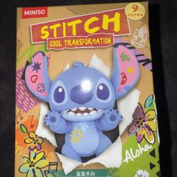 Stitch Cool Transformation