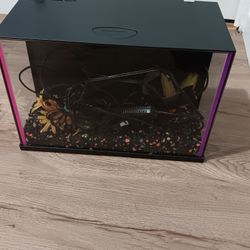 Fish Tank