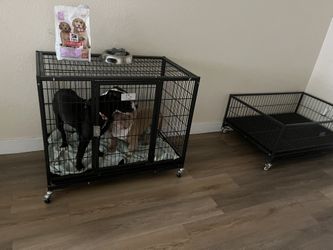 Cage