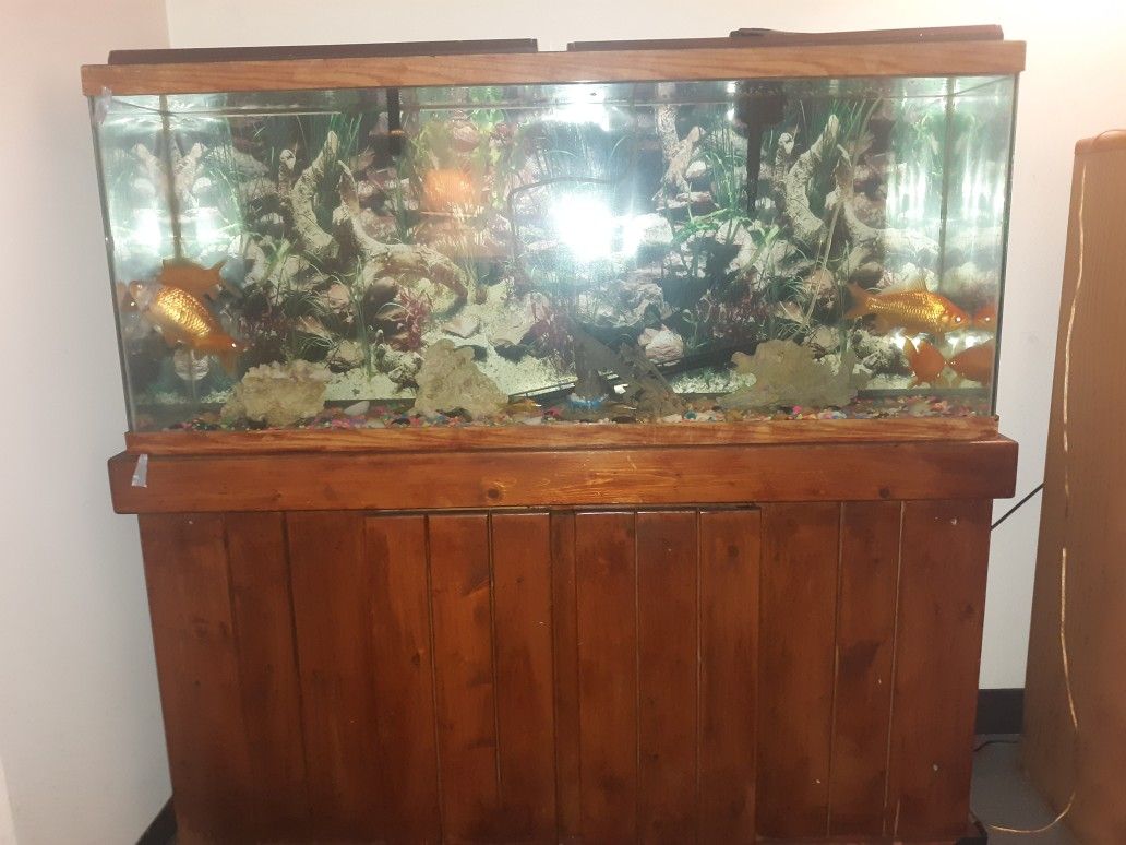 Fish tank with fishes