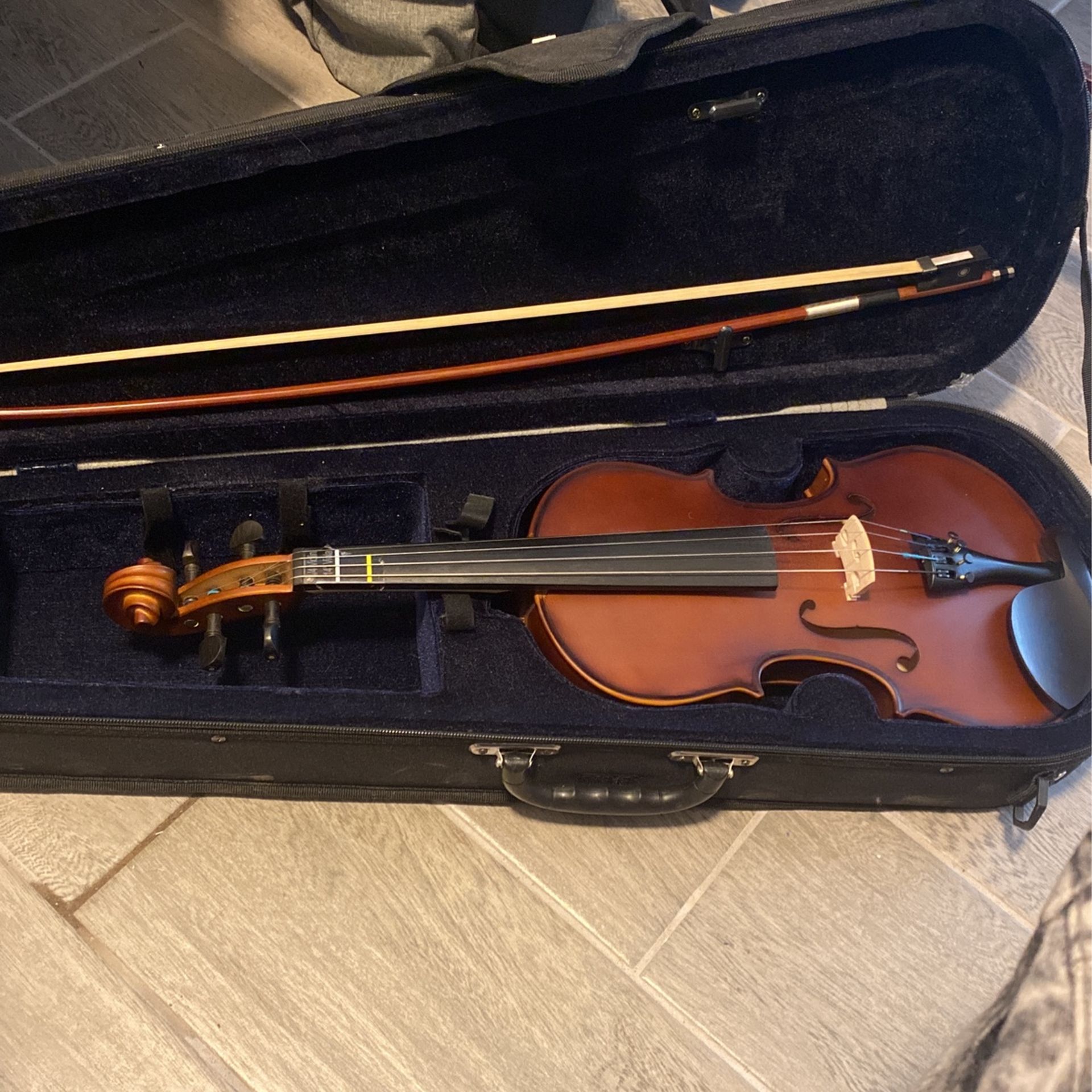Violin